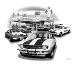1969 Camaros