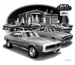 1967 Camaros